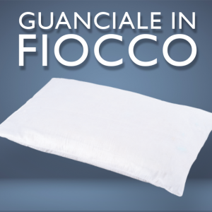Guanciale antiacaro