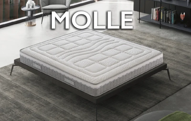 materasso-dotolo-molle-800-molle-indipendenti-topper-memory.webp Materasso Dotolo Molle con 800 molle indipendenti e topper memory Dotolo Mobili