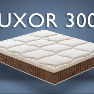 materasso_ergonomico_medico_lussuoso_dotolo_mobili_luxor3000 Materasso LUXOR 3000 presidio Medico